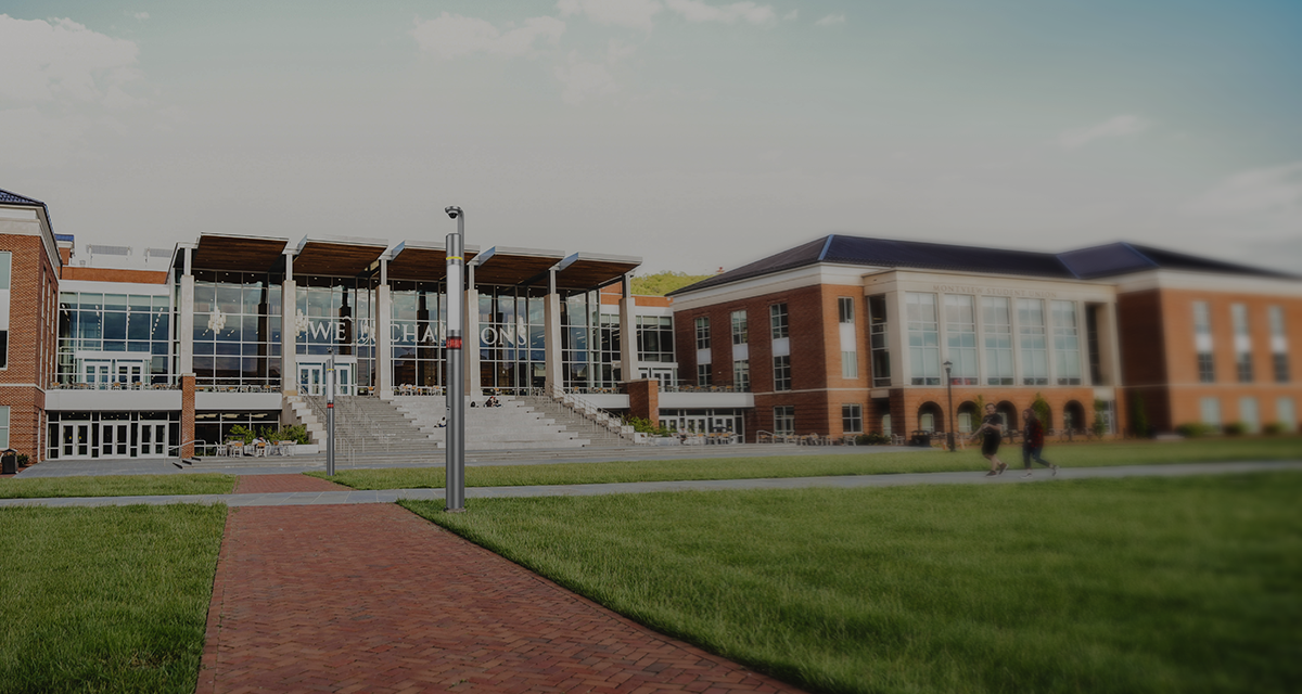 Stake(�й���)�ٷ���վ