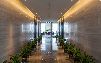 Stake(�й���)�ٷ���վ