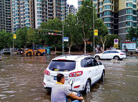 Stake(�й���)�ٷ���վ